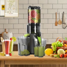 Cold Press Juicer, 350W Juice Extractor Machine, Slow Masticating Juicer Machines, 4.7