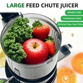 Celiberry Slow Masticating Cold Press Juicer Machine with 4.1