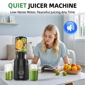 Celiberry Slow Masticating Cold Press Juicer Machine with 4.1